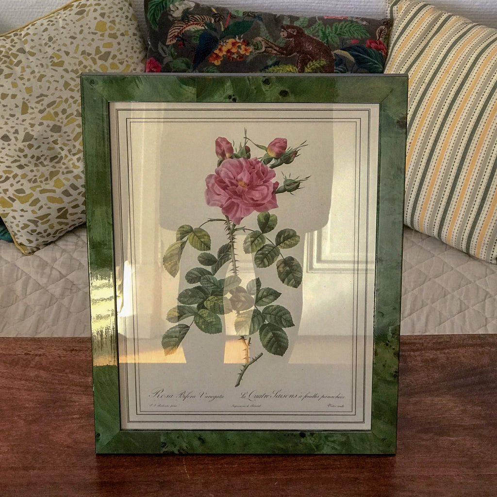 Impression tirée d'une lithographie de Redouté Rosa Bifera Variegata par Hello Broc brocante en ligne