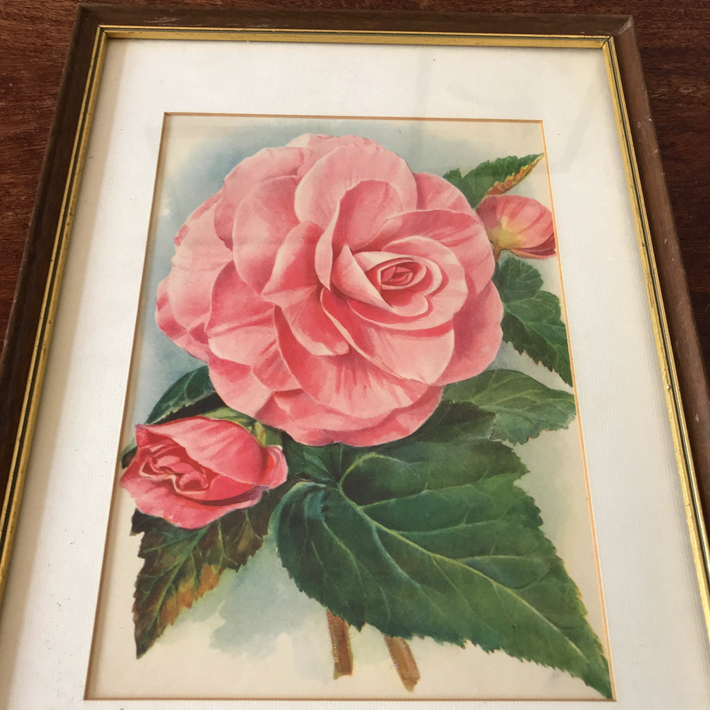 Illustration d'une grande fleur rose encadrement en bois 37 x 28 cm par Hello Broc brocante en ligne