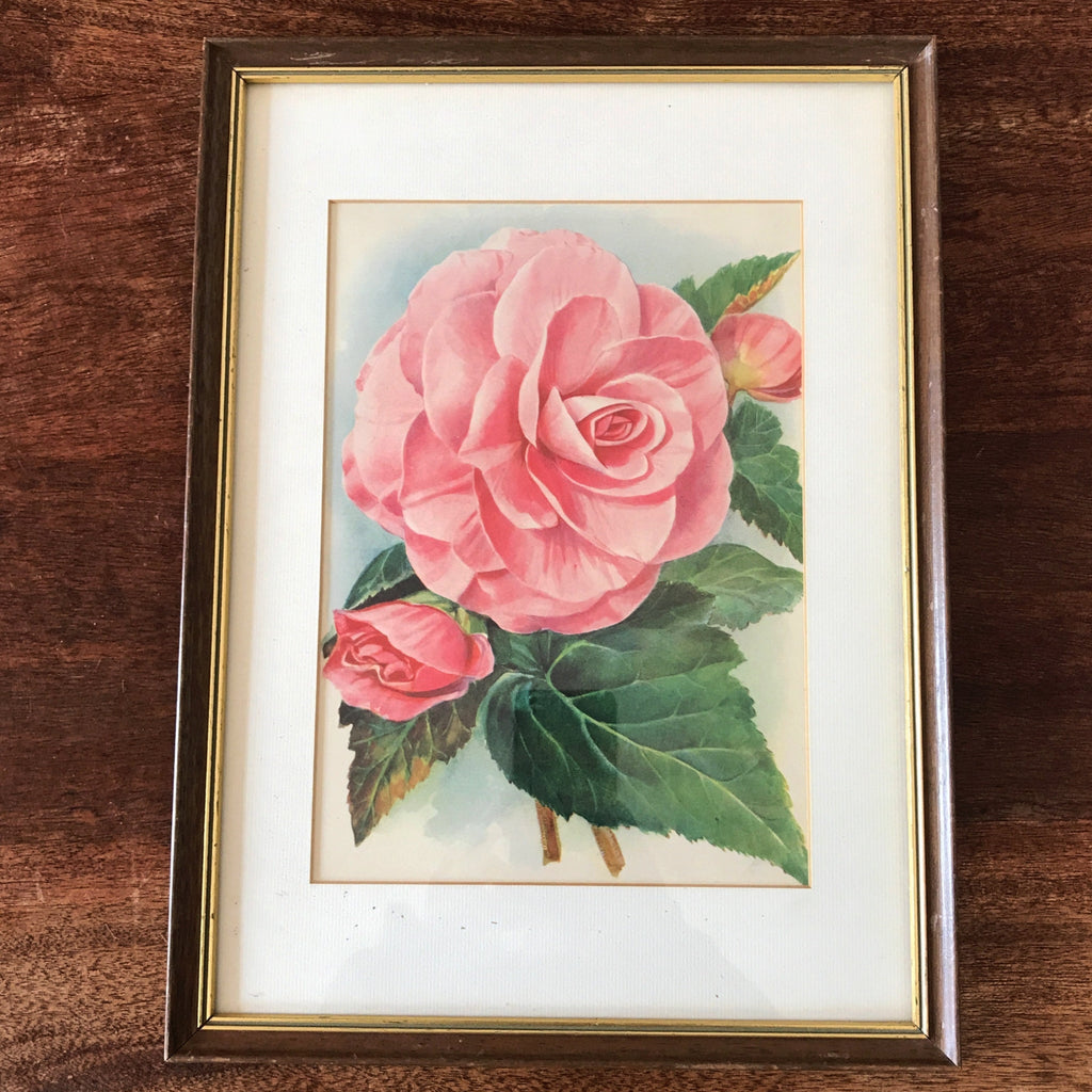 Illustration d'une grande fleur rose encadrement en bois 37 x 28 cm par Hello Broc brocante en ligne
