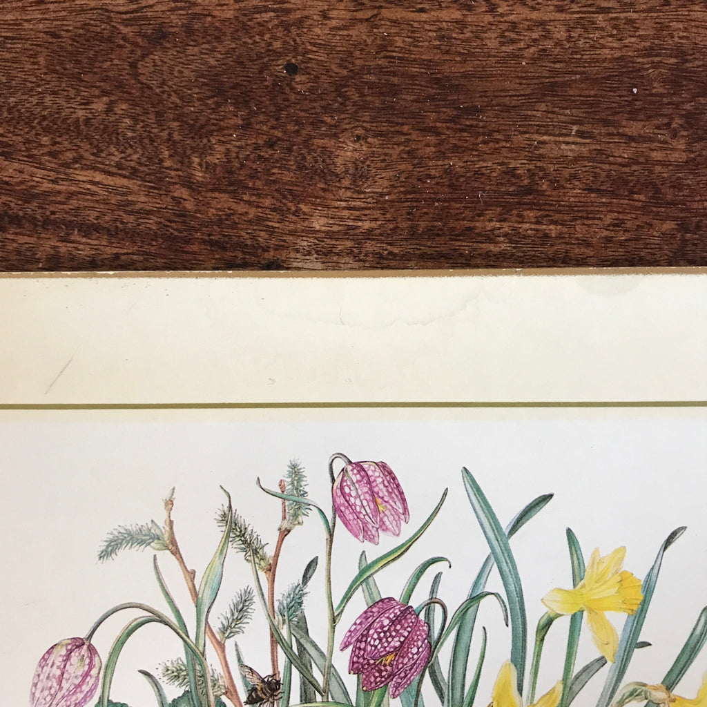Ensemble de 6 sets de table Clover Leaf illustrations champêtres par Elizabeth Rice par Hello Broc brocante en ligne