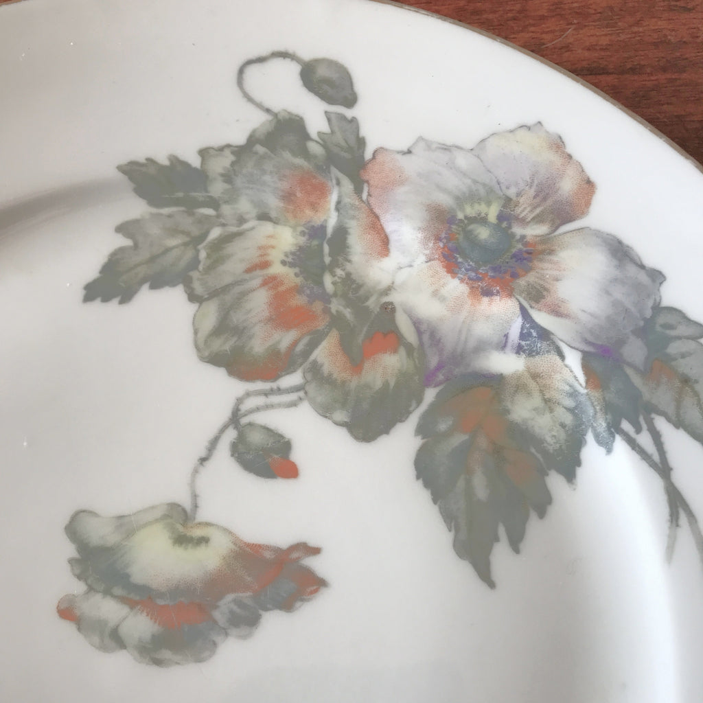 Lot de 8 assiettes plates vintage ULIM Limoges France décor pavots par Hello Broc brocante en ligne