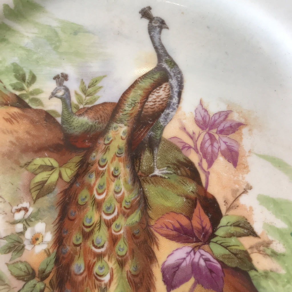 Assiette de collection murale en porcelaine de Limoges décor paons J.B.T & Cie début XXème siècle par Hello Broc brocante en ligne