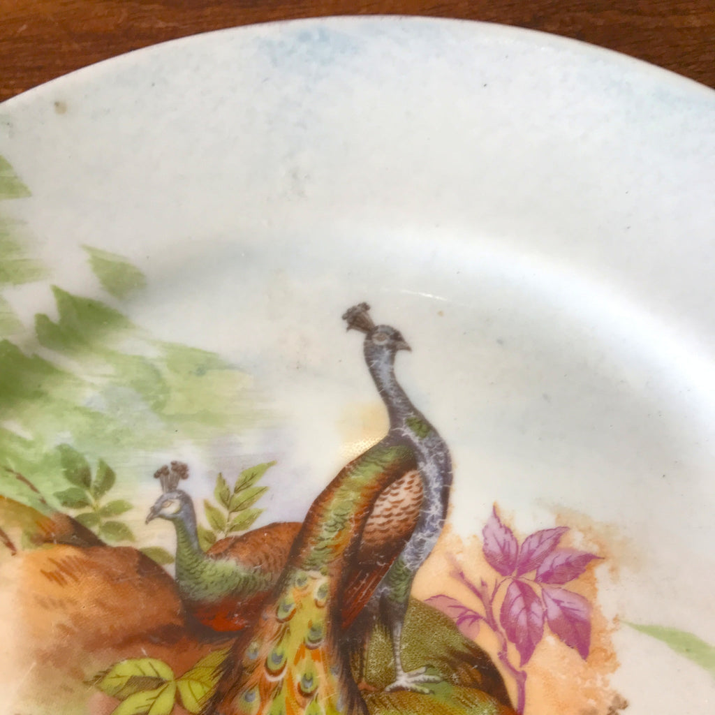 Assiette de collection murale en porcelaine de Limoges décor paons J.B.T & Cie début XXème siècle par Hello Broc brocante en ligne