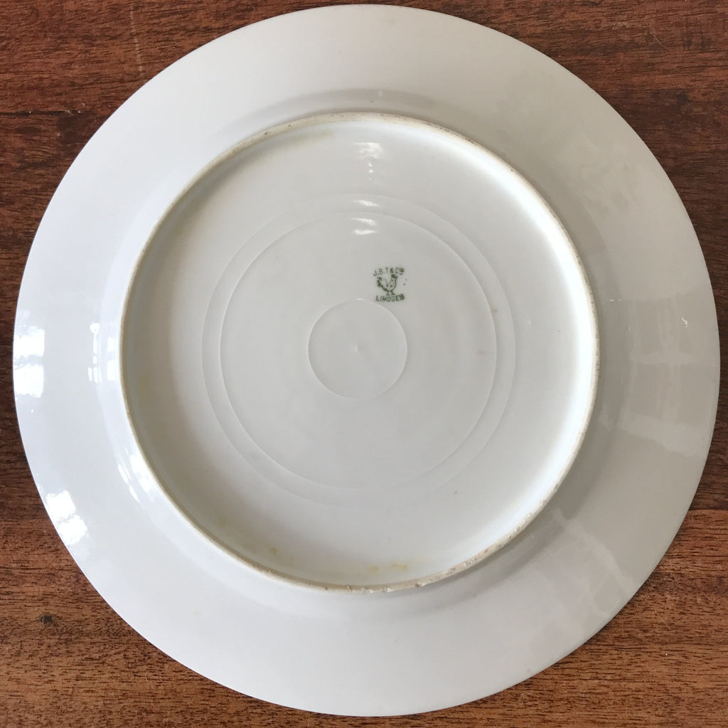 Assiette de collection murale en porcelaine de Limoges décor paons J.B.T & Cie début XXème siècle par Hello Broc brocante en ligne