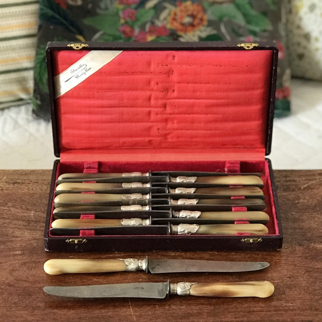 Coffret de 10 couteaux manche en corne virole en métal argenté de l'orfèvre Darette à Montpellier