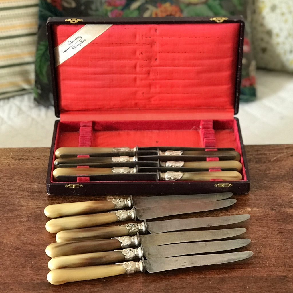 Coffret de 10 couteaux manche en corne virole en métal argenté de l'orfèvre Darette à Montpellier