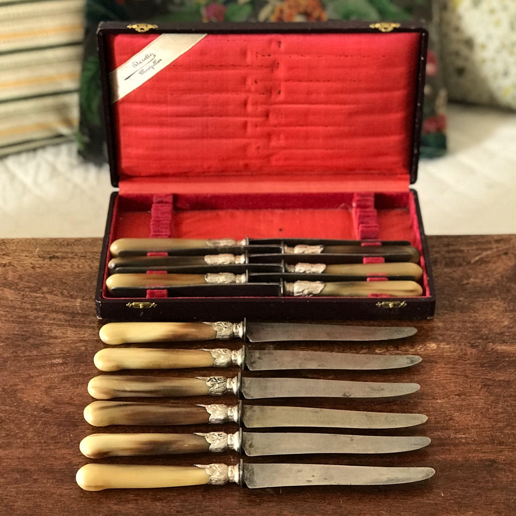Coffret de 10 couteaux manche en corne virole en métal argenté de l'orfèvre Darette à Montpellier
