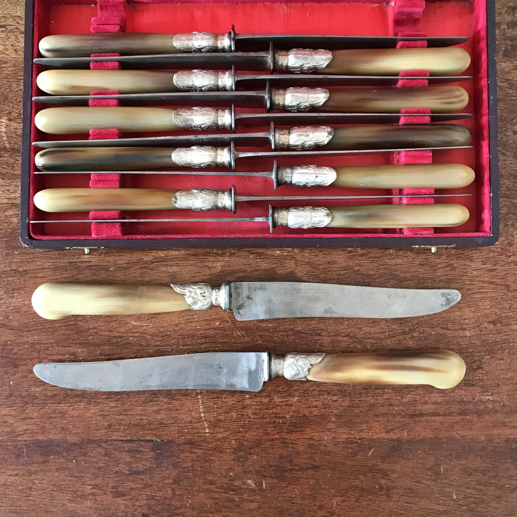 Coffret de 10 couteaux manche en corne virole en métal argenté de l'orfèvre Darette à Montpellier