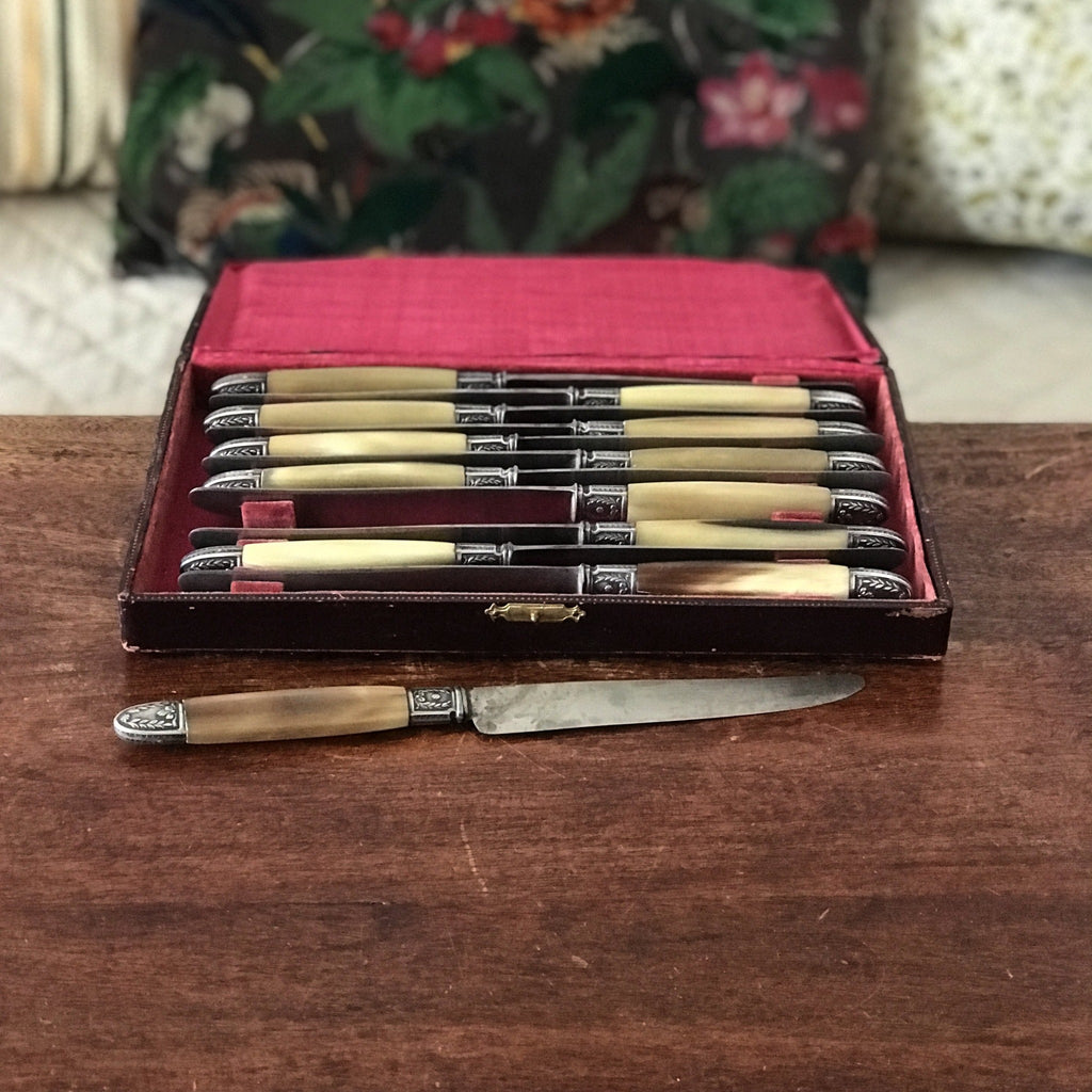 Coffret ménagère de 12 couteaux manche en corne, détails en métal argenté par Hello Broc brocante en ligne