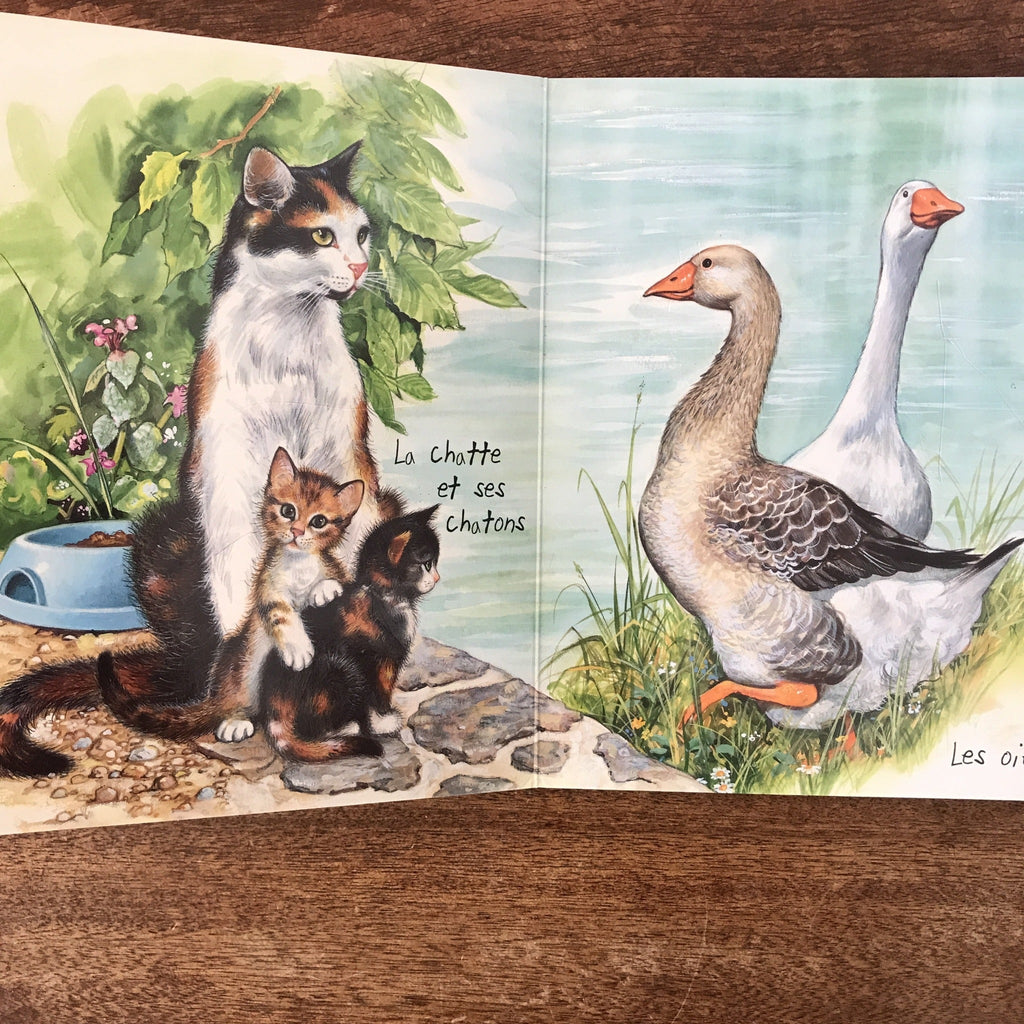 Livre illustré Les copains de Roussette par Pierre Couronne édition Hemma 2004 par Hello Broc brocante en ligne