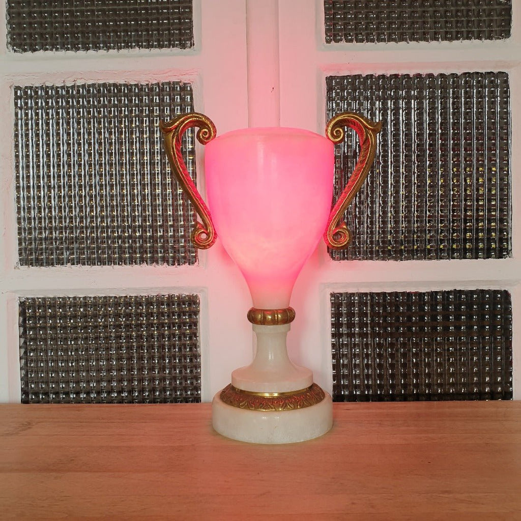 Lampe en forme de coupe en albâtre et anses en bronze doré - Hello Broc