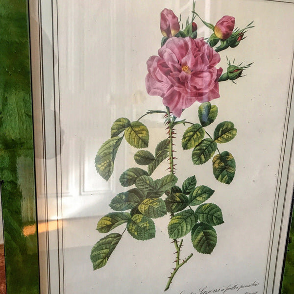 Impression tirée d'une lithographie de Redouté Rosa Bifera Variegata par Hello Broc brocante en ligne