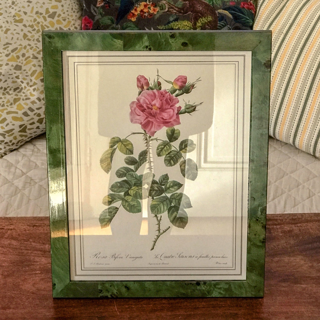 Impression tirée d'une lithographie de Redouté Rosa Bifera Variegata par Hello Broc brocante en ligne