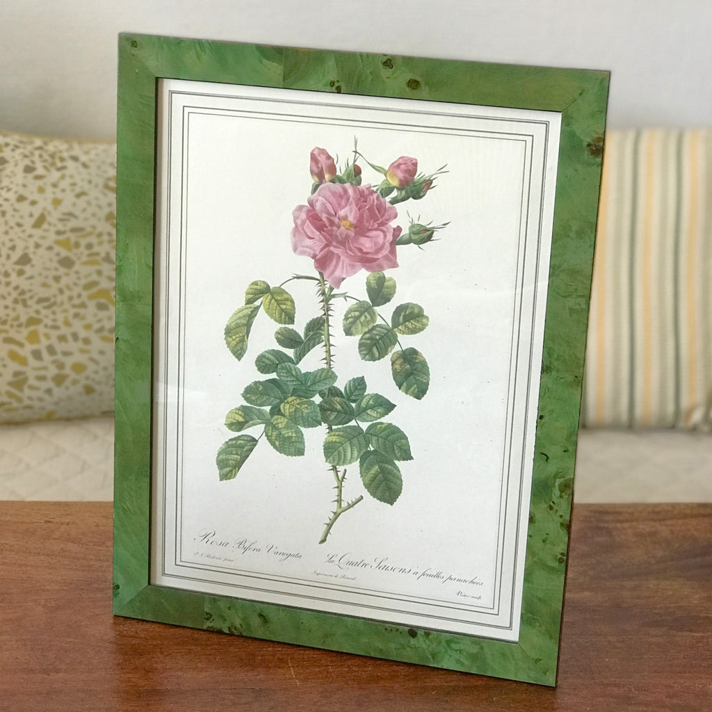 Impression encadrée tirée d'une lithographie de Redouté Rosa Bifera Variegata par Hello Broc brocante en ligne