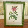 Impression encadrée tirée d'une lithographie de Redouté Rosa Bifera Variegata par Hello Broc brocante en ligne