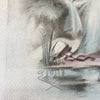 Illustration dessin original restauré au crayon et pastel de E. Naudy (Alfred Renaudin) - Femme au bord d'un étang avec son chien - Circa 1920 par Hello Broc brocante en ligne