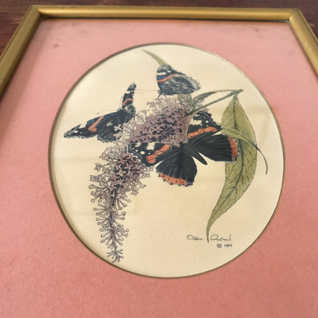 Cadre vintage doré en bois avec une illustration de papillons par Hello Broc brocante en ligne