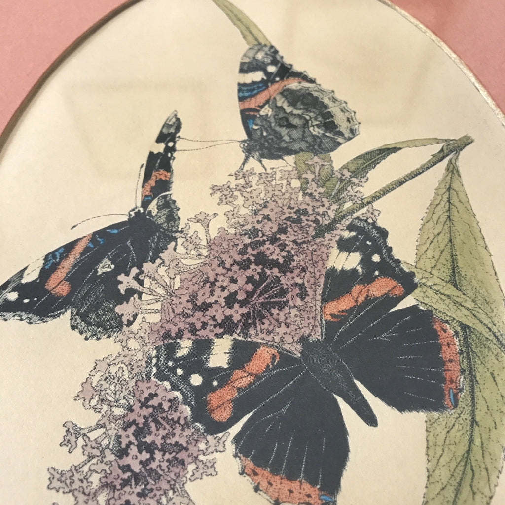 Cadre vintage doré en bois avec une illustration de papillons par Hello Broc brocante en ligne