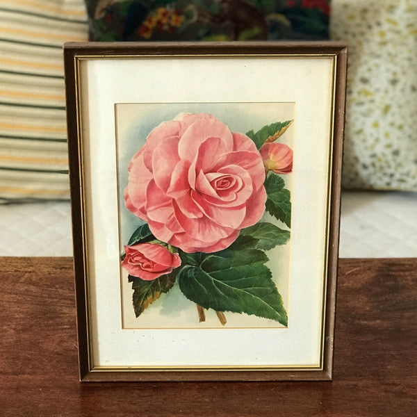 Illustration d'une grande fleur rose encadrement en bois 37 x 28 cm par Hello Broc brocante en ligne