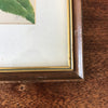 Illustration d'une grande fleur rose encadrement en bois 37 x 28 cm par Hello Broc brocante en ligne
