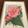 Illustration d'une grande fleur rose encadrement en bois 37 x 28 cm par Hello Broc brocante en ligne