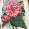 Illustration d'une grande fleur rose encadrement en bois 37 x 28 cm par Hello Broc brocante en ligne