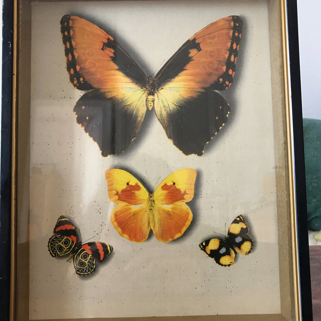 Cadre noir avec des papillons en fond en trompe l'œil dimensions 30 x 24 cm par Hello Broc brocante en ligne
