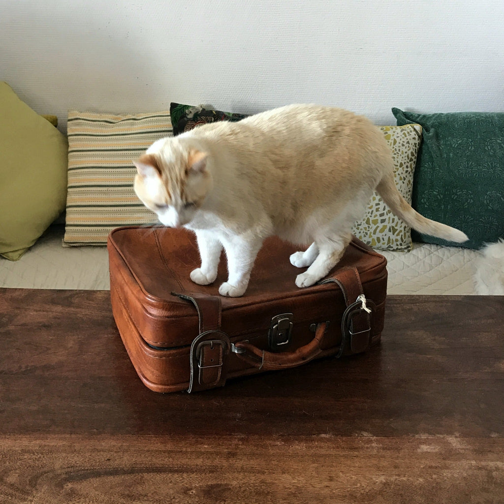 Petite valise vintage en cuir 42 x 32 x 16,5 cm par Hello Broc brocante en ligne