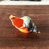 Cendrier vintage en céramique orange en forme de coquillage par Hello Broc brocante en ligne