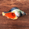 Cendrier vintage en céramique orange en forme de coquillage par Hello Broc brocante en ligne