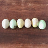 Ensemble de 6 œufs en albâtre couleurs pastel par Hello Broc brocante en ligne