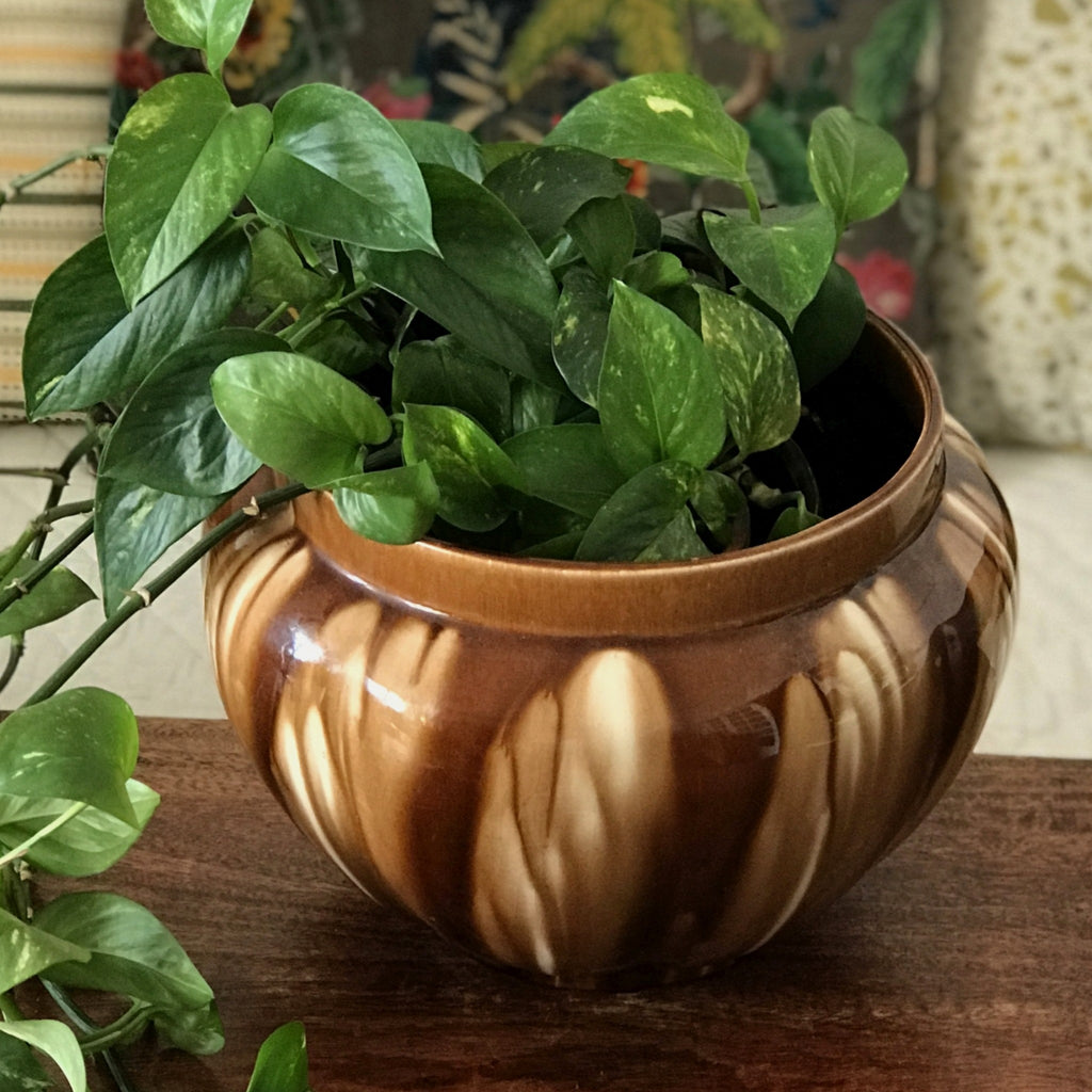 Grand cache-pot en céramique émaillée Louis Gueule Vierzon par Hello Broc brocante en ligne