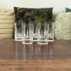 Lot de 5 verres gobelets hauts à orangeade ou highball en cristal taillé Atlantis par Hello Broc brocante en ligne