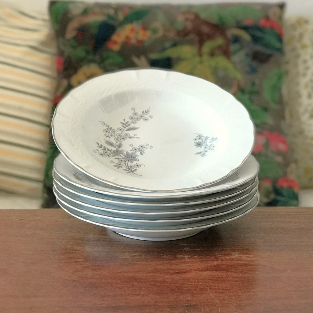 Ensemble de 6 assiettes creuses Royal Tognana Porcellana d'Italia diamètre de 23 cm par Hello Broc brocante en ligne 
