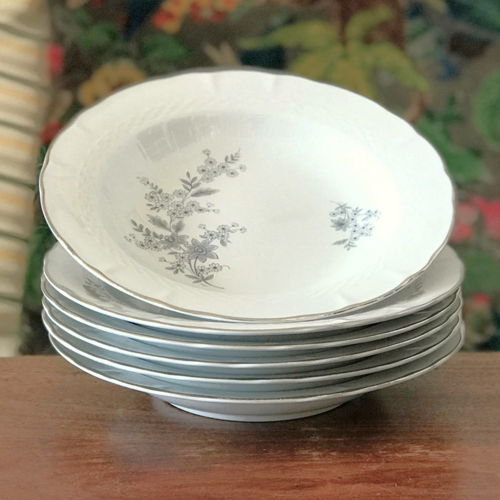 Ensemble de 6 assiettes creuses Royal Tognana Porcellana d'Italia par Hello Broc brocante en ligne diamètre de 23 cm