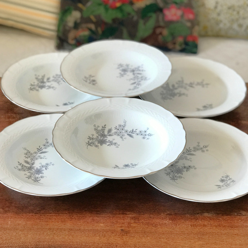 Ensemble de 6 assiettes creuses Royal Tognana Porcellana d'Italia diamètre de 23 cm par Hello Broc brocante en ligne 