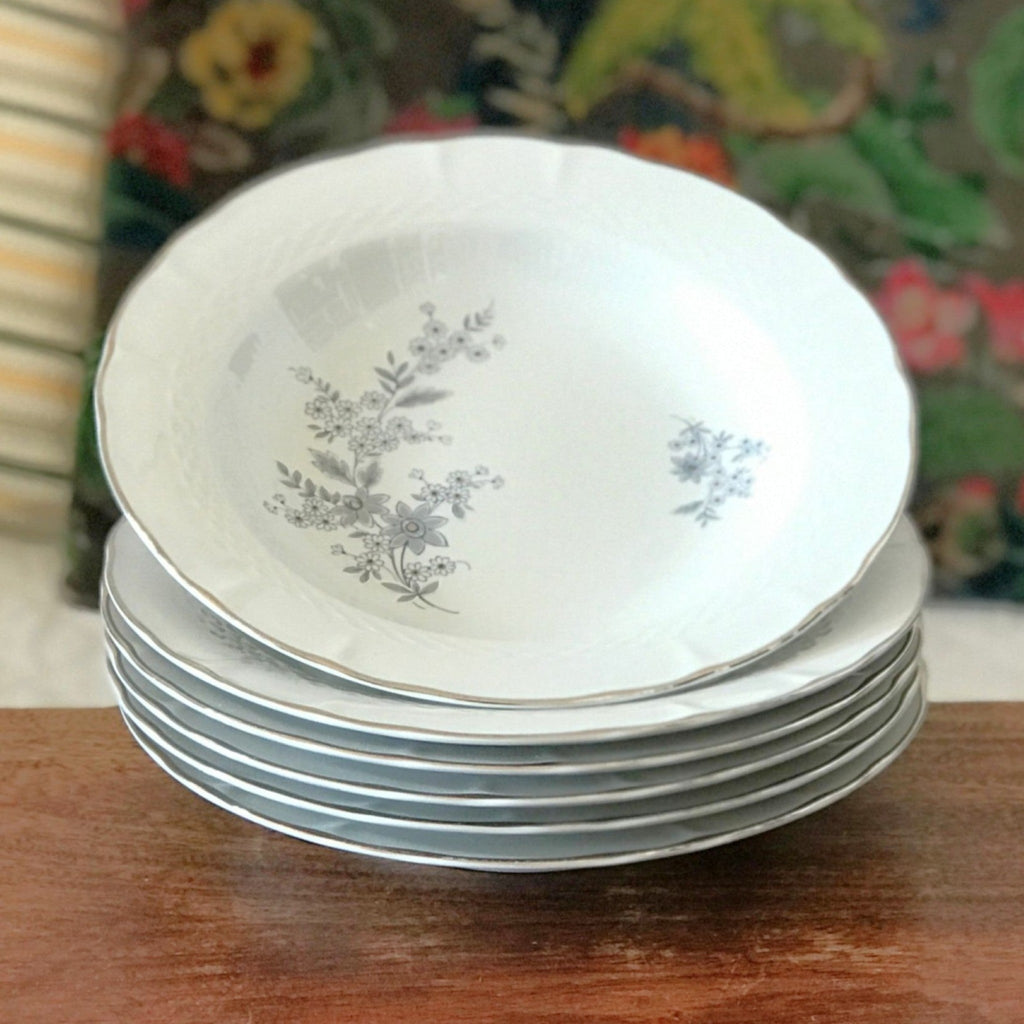 Ensemble de 6 assiettes creuses Royal Tognana Porcellana d'Italia diamètre de 23 cm par Hello Broc brocante en ligne 