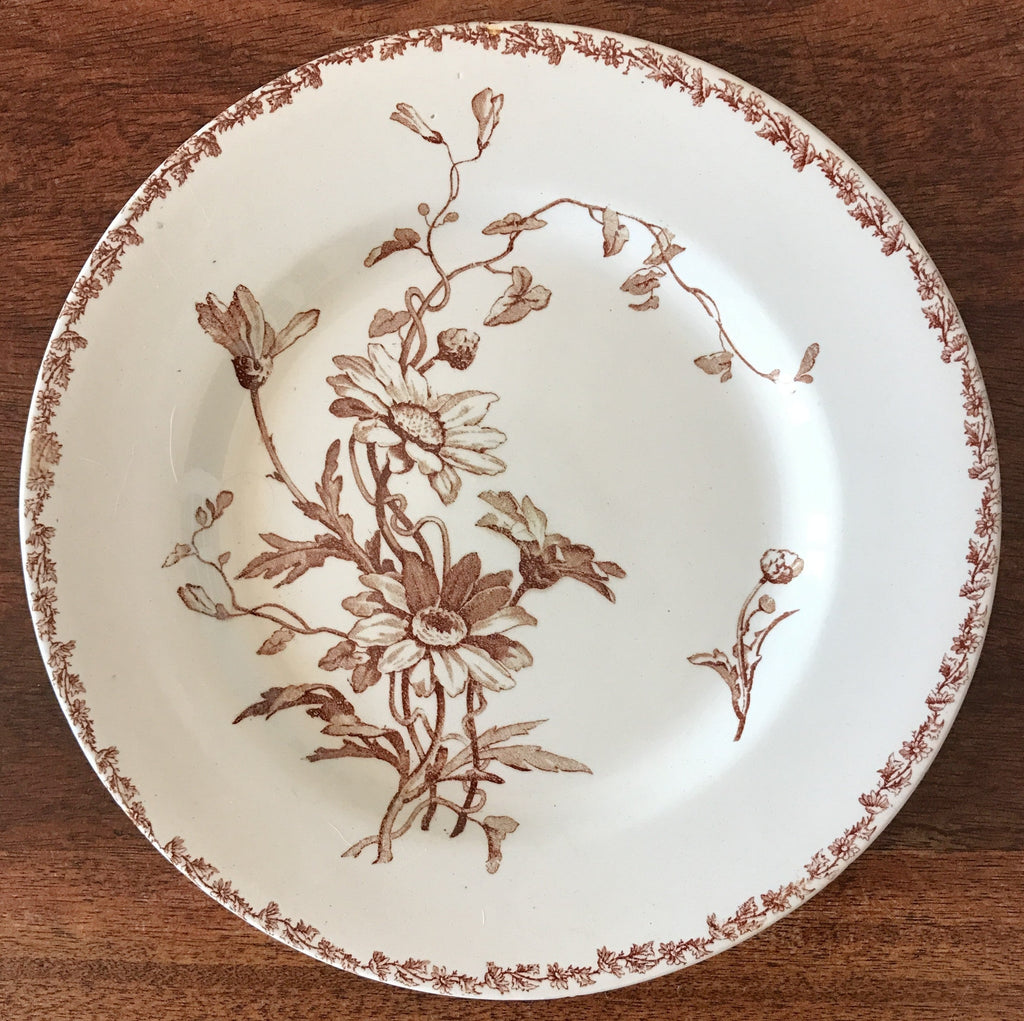 Assiette plate ancienne Terre de Fer décor Marguerite marron attribution Lunéville fin 19ème siècle par Hello Broc brocante en ligne