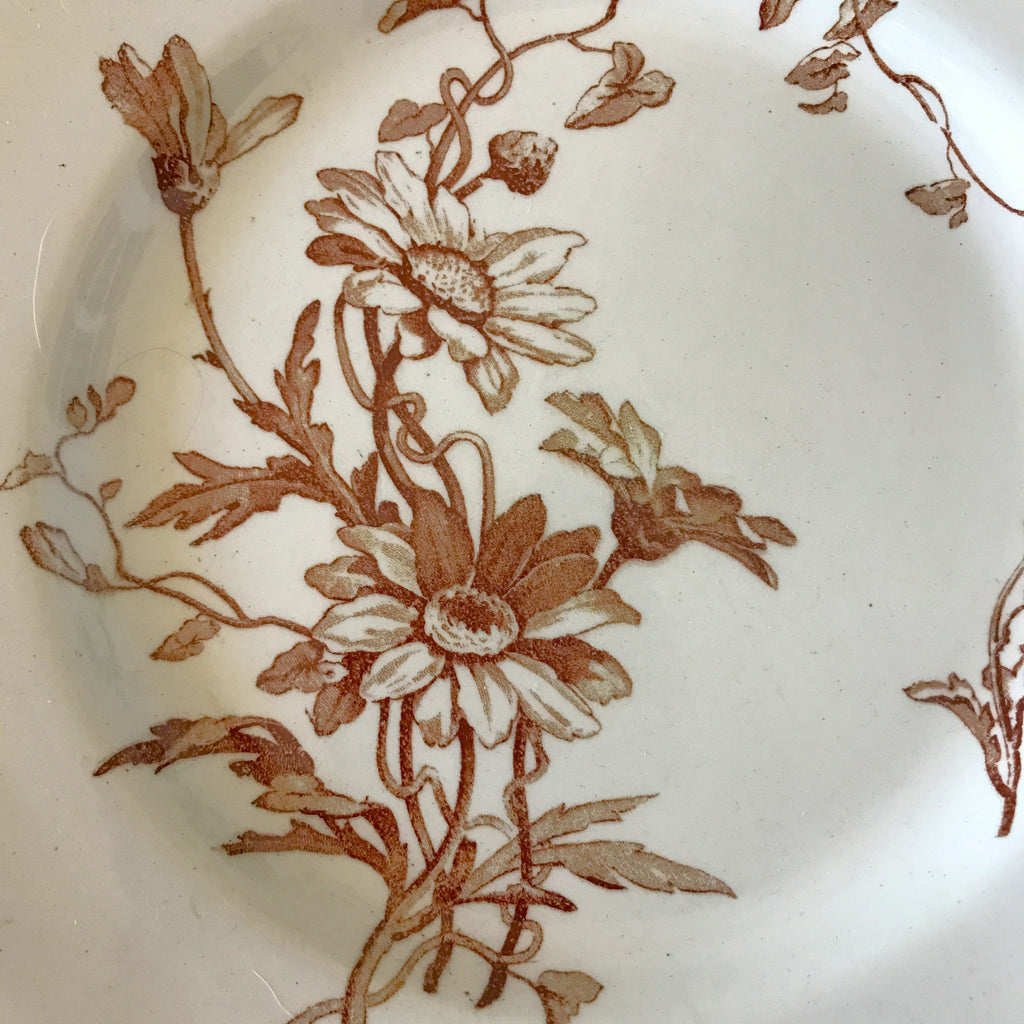 Assiette plate ancienne Terre de Fer décor Marguerite marron attribution Lunéville fin 19ème siècle par Hello Broc brocante en ligne