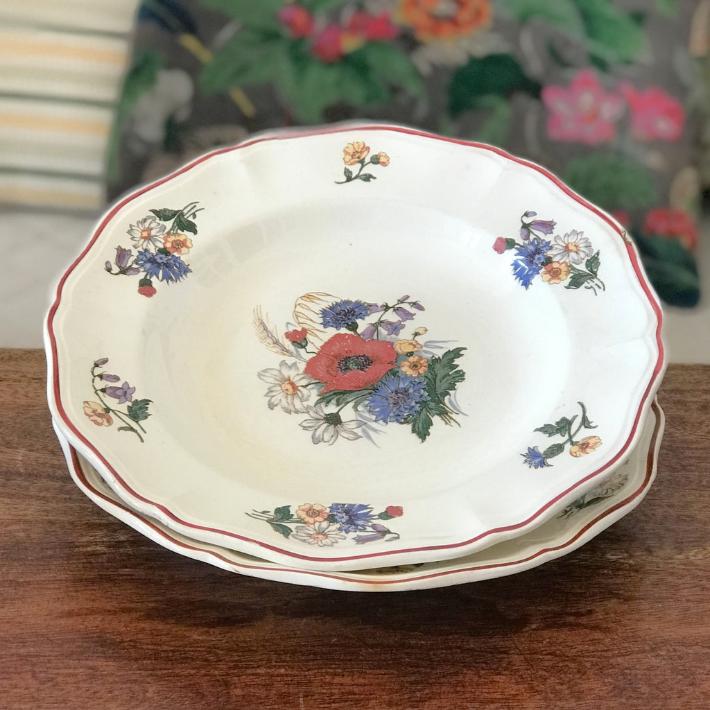 Paire assiettes creuses ou à soupe vintage Agreste de Sarreguemines diamètre 25 cm par Hello Broc brocante en ligne