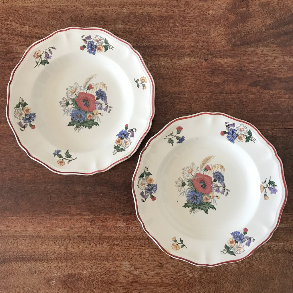 Paire assiettes creuses ou à soupe vintage Agreste de Sarreguemines diamètre 25 cm par Hello Broc brocante en ligne