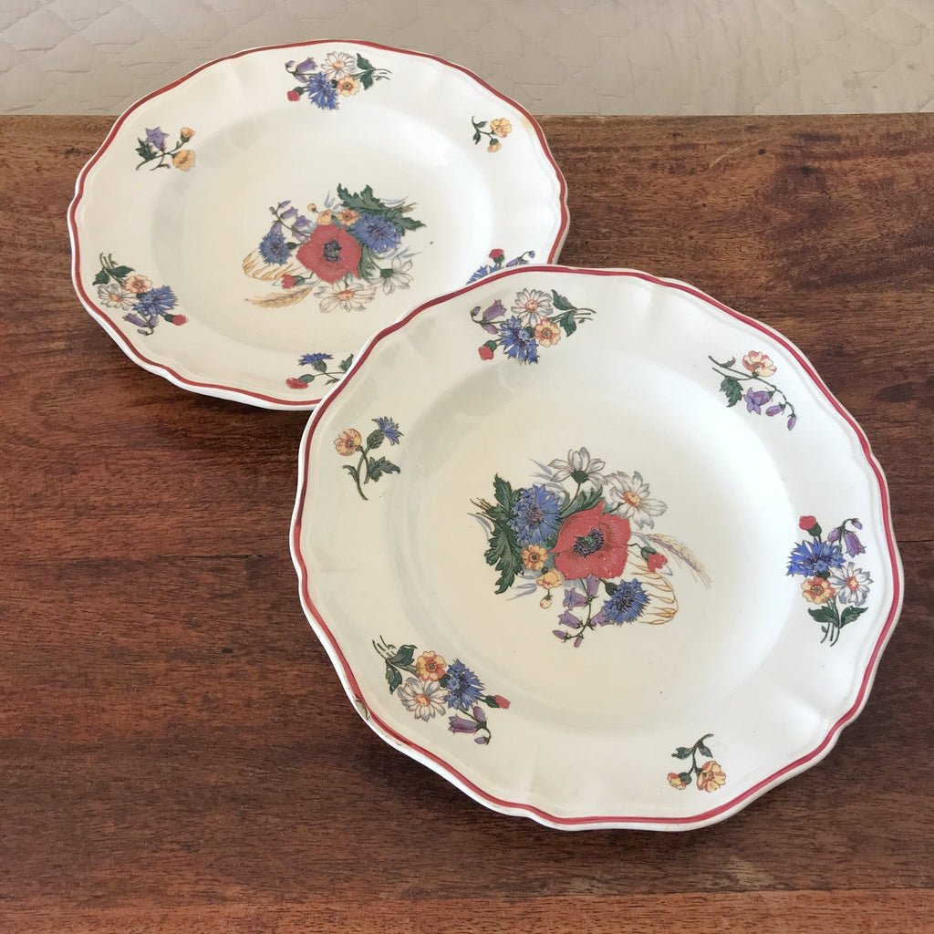 Paire assiettes creuses ou à soupe vintage Agreste de Sarreguemines diamètre 25 cm par Hello Broc brocante en ligne