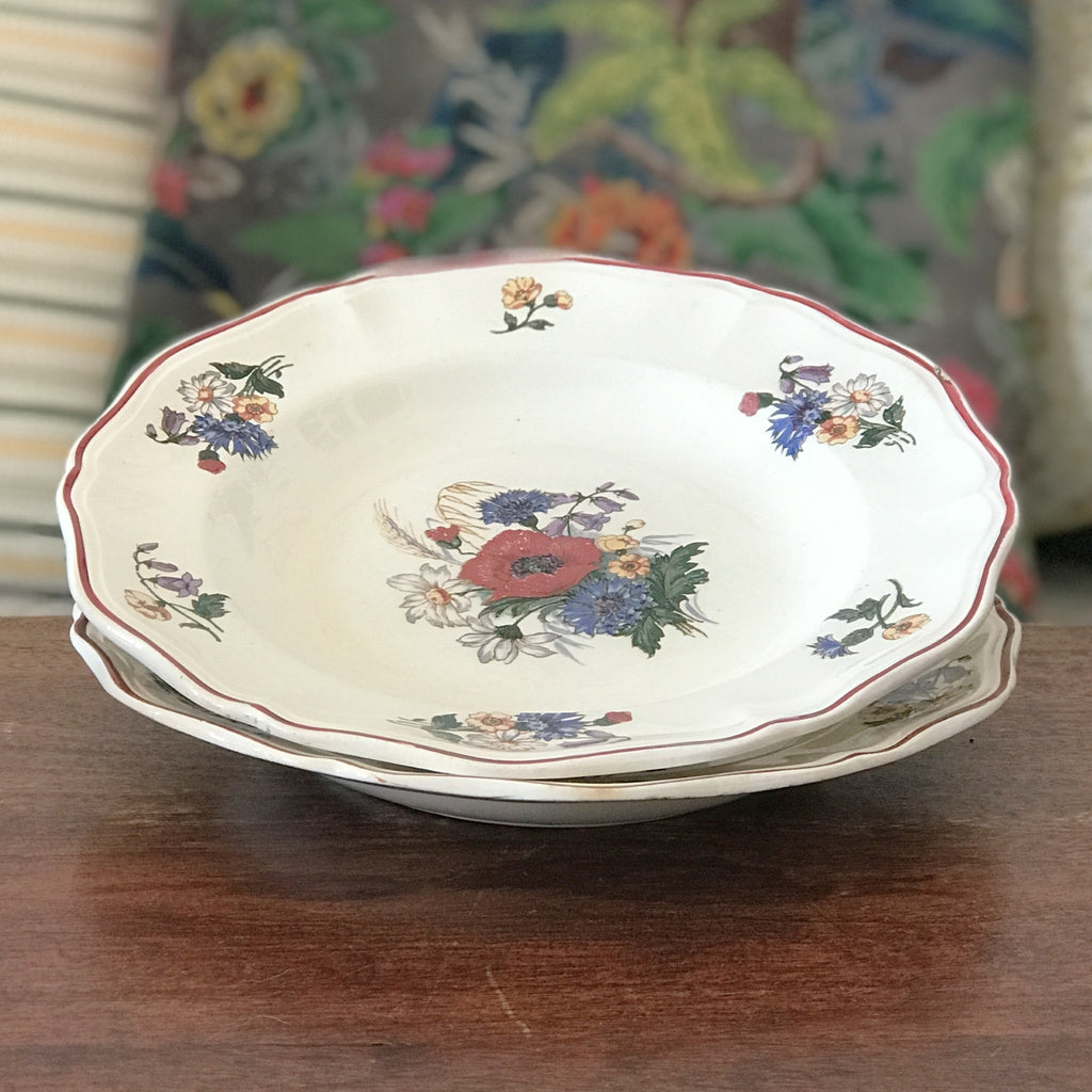 Paire assiettes creuses ou à soupe vintage Agreste de Sarreguemines diamètre 25 cm par Hello Broc brocante en ligne