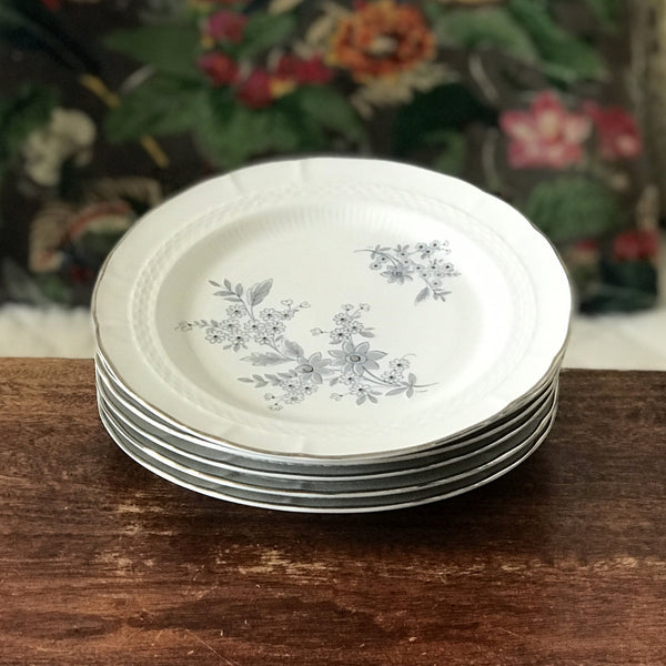 Ensemble de 6 assiettes à dessert Royal Tognana Porcellana d'Italia par Hello Broc brocante en ligne
