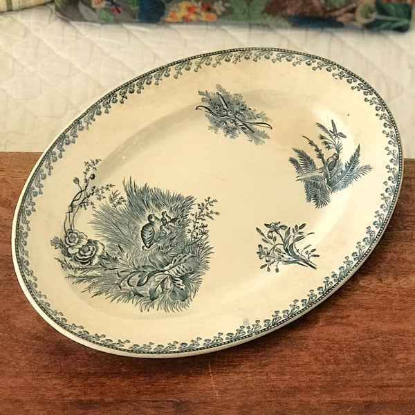 Plat de service ancien forme ovale en faïence de Pexonne décor Oiseaux par Hello Broc brocante en ligne