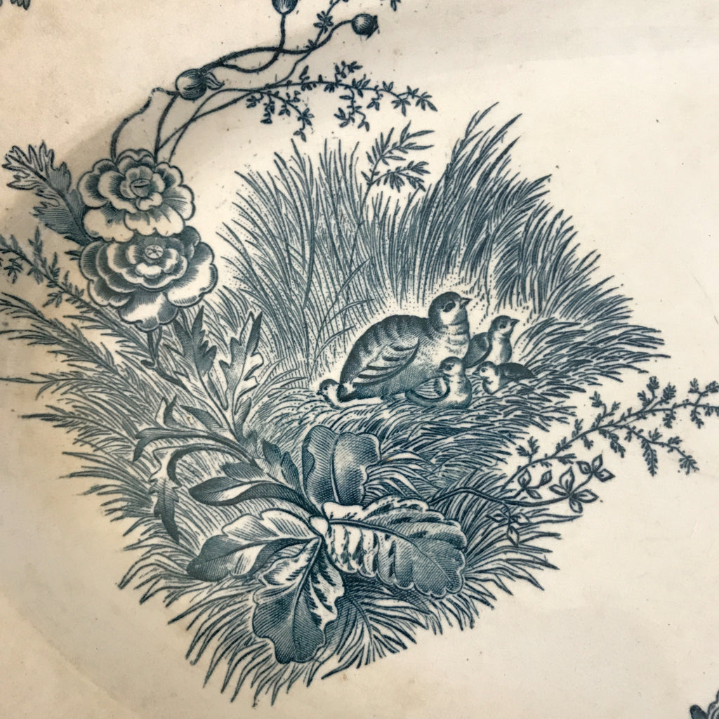 Plat de service ancien forme ovale en faïence de Pexonne décor Oiseaux par Hello Broc brocante en ligne