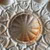 Grand plat de service rond en barbotine pour huîtres, fruits de mer et coquillages Sarreguemines par Hello Broc brocante en ligne