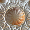 Grand plat de service rond en barbotine pour huîtres, fruits de mer et coquillages Sarreguemines par Hello Broc brocante en ligne