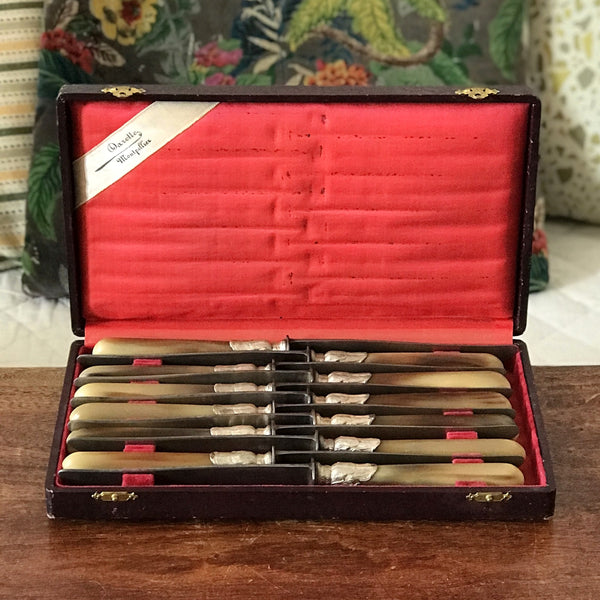 Coffret de 10 couteaux manche en corne virole en métal argenté de l'orfèvre Darette à Montpellier
