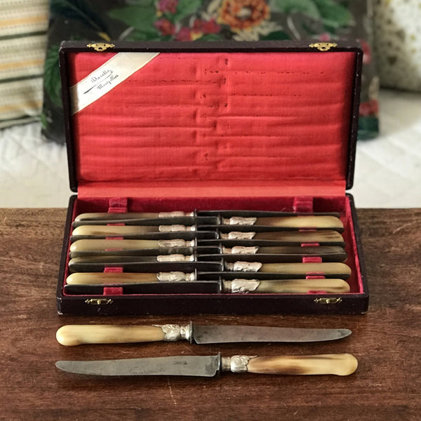 Coffret de 10 couteaux manche en corne virole en métal argenté de l'orfèvre Darette à Montpellier France